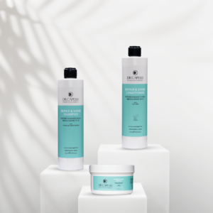Repair and Shine Range